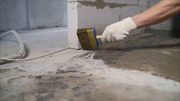 24/7 Emergency Exterior Waterproofing experts in Fennville, MI
